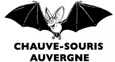 Chauve-Souris Auvergne