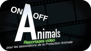On/Off Animals